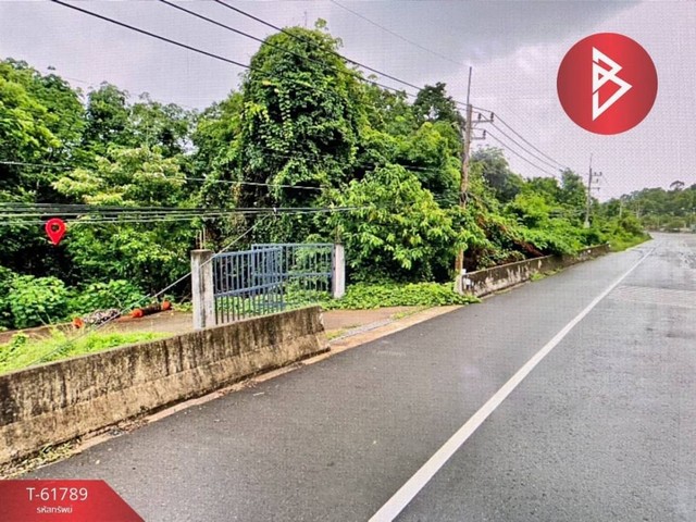 ขายที่ดินทำเลติดถนนใหญ่ สายสุขุมวิท 318 ต.หาดเล็ก อ.คลองใหญ่ จ.ตราด