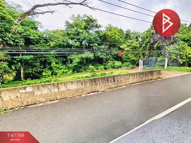 ขายที่ดินทำเลติดถนนใหญ่ สายสุขุมวิท 318 ต.หาดเล็ก อ.คลองใหญ่ จ.ตราด