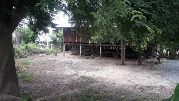ขายที่ดิน 320ตรว. พร้อมบ้านไม้ 2หลัง ต.ท่าพี่เลี้ยง อ.เมืองสุพรรณบุรี น้ำไฟสะดวก โทร 081-7957267