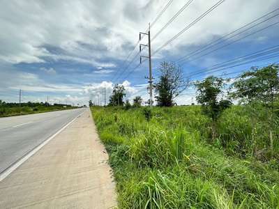 ขายที่ดิน 43 ไร่ 50 ตารางวา ตำบลเกาะขนุน  อำเภอพนมสารคาม  จังหวัดฉะเชิงเทรา