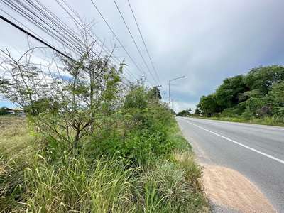 ที่ดิน 24-1-83 ไร่  ตำบลพนานิคม อำเภอนิคมพัฒนา จ.ระยอง