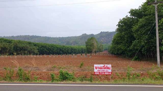 ขายที่ดินอำเภอไทรโยค วิวภูเขา ต.ไทรโยค อ.ไทรโยค จ.กาญจนบุรี