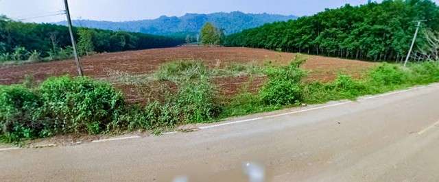 ขายที่ดินอำเภอไทรโยค วิวภูเขา ต.ไทรโยค อ.ไทรโยค จ.กาญจนบุรี