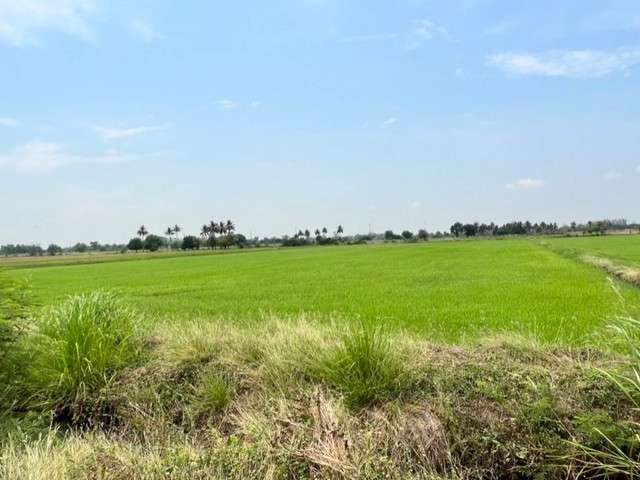 ขายที่ดินเปล่า เนื้อที่ 19.3.66 ไร่ ต.หนองโดน อ.หนองโดน จ.สระบุรี
