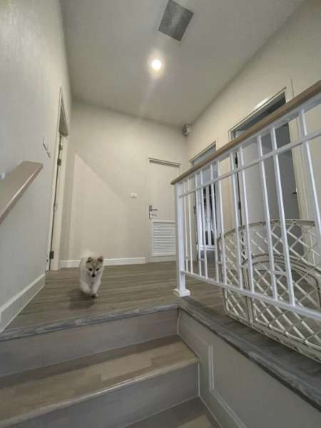 6602-706 ขาย บ้าน  ลาดกระบัง บางพลี  PERFECT PLACE SUKHUMVIT 77 3ห้องนอน