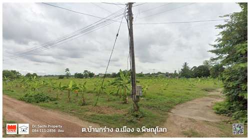 ขายที่ดินแปลงสวย 10-2-91 ไร่ ติดถนน 2 ด้าน ใกล้ ดูโฮม ต.บ้านกร่าง อ.เมือง จ.พิษณุโลก