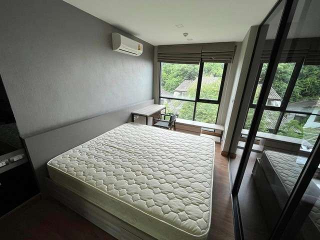 (ให้เช่า) Tree Condo Sukhumvit 50 ทรี คอนโด สุขุมวิท 50 (ใกล้BTSอ่อนนุช เพียง 350 เมตร)  อยู่ใกล้โลตัสสุขุมวิท50 ซอยเคียงศิริ