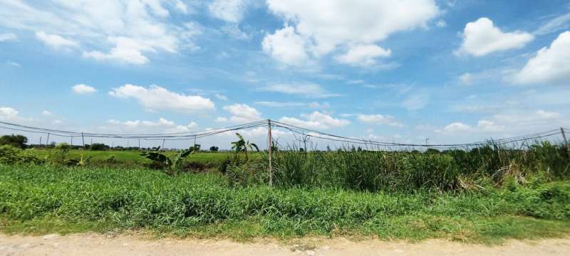 ขายที่ดินคลองห้า สนามกอล์ฟอัลไพน์ คลองหลวง ปทุมธานี