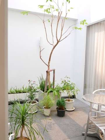 ขายทาวน์โฮม 3 ชั้น ในโครงการ Monotown 2 พิกัด สุเทพ อ.เมือง จ.เชียงใหม่  ราคา 4.6 ล้านบาท