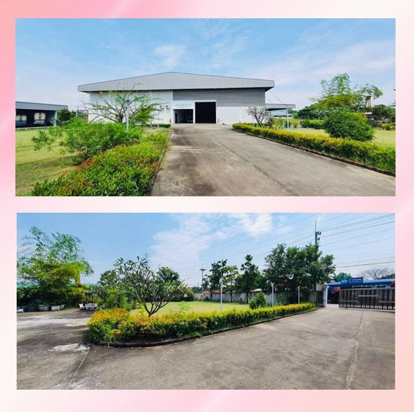 ขายโรงงานมือสองขนาด 6 ไร่ มีรง.4 พร้อมห้องพักคนงาน 12ห้อง ต.นาดี อ.เมือง จ.สมุทรสาคร โทร 065-968-5318
