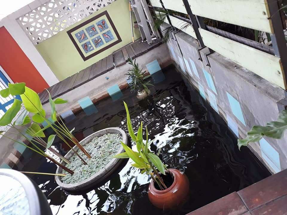 ขายบ้านเดี่ยวสองชั้น 50 ตรว. ซ.รามอินทรา 13 (ใจกลางเขตบางเขน)