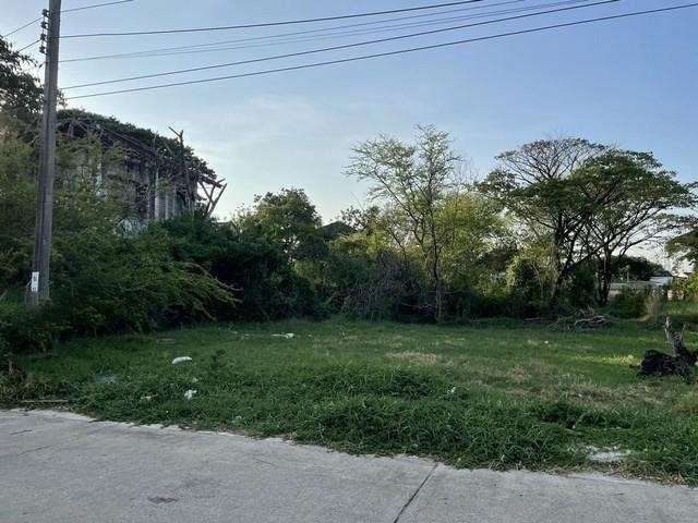 ขายที่ดิน เนื้อที่ 150 ตรว. ที่ดิน อยู่ในหมู่บ้านเมืองทอง 2 โครงการ 4 ซอยพัฒนาการ 69 พื้นที่สวยแปลงรูปสี่เหลี่ยมผืนผ้า