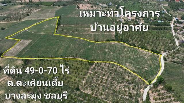 ขายที่ดินเปล่าขนาด 49 ไร่ ผังสีเหลือง ใกล้เทศบาลตะเคียนเตี้ย ติดทางสาธารณะ เหมาะทำจัดสรร โรงงาน โกดัง ราคาถูกที่สุดในย่านนี้ บางละมุง ชลบุรี