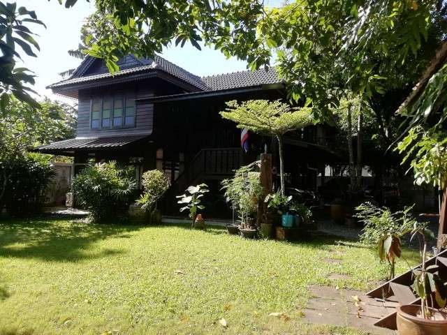 ขายด่วนๆ บ้านสวนริมคลองบางเชือกหนัง  ซอยจรัญ 13 เขตภาษีเจริญ  กรุงเทพ