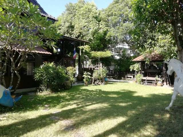 ขายด่วนๆ บ้านสวนริมคลองบางเชือกหนัง  ซอยจรัญ 13 เขตภาษีเจริญ  กรุงเทพ
