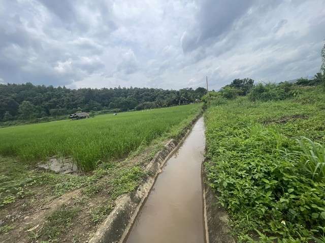 ขายบ้านพร้อมที่ดินแม่แตงทำเลในชุมชนวิวสวยติดลำเหมืองมีน้ำไหลผ่านวิวดอยวิวทุ่งนา
