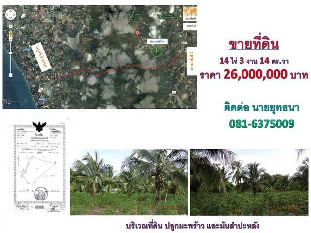 ขายที่ดิน 14 ไร่ 3 งาน 14 ตร.วา ต. ห้วยใหญ่ อ. บางละมุง  จ. ชลบุรี