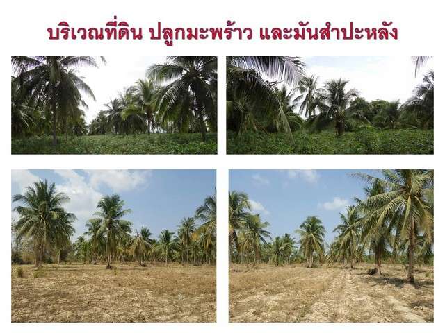 ขายที่ดิน 14 ไร่ 3 งาน 14 ตร.วา ต. ห้วยใหญ่ อ. บางละมุง  จ. ชลบุรี