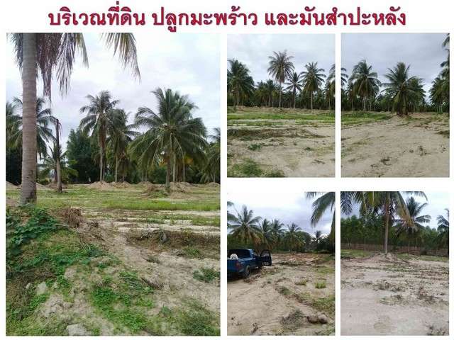 ขายที่ดิน 14 ไร่ 3 งาน 14 ตร.วา ต. ห้วยใหญ่ อ. บางละมุง  จ. ชลบุรี
