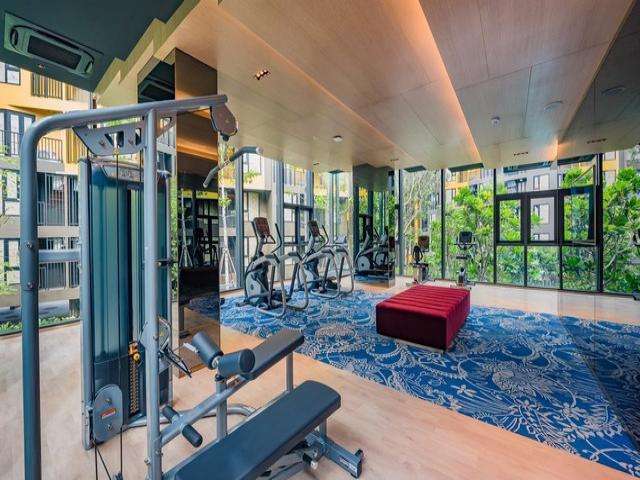 For Rent : Wichit, The Base Central Phuket, 1 Bedroom 1 Bathroom, 3rd flr.