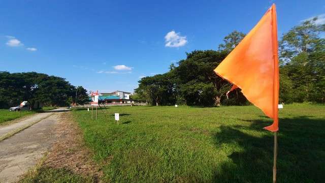 พื้นที่ดิน –  area 130 ตร.วา 1500000 B. ใกล้ โรงพยาบาลสันทราย,มหาวิทยาลัยแม่โจ้ ทำเลดีเยี่ยมๆ เชียงใหม่