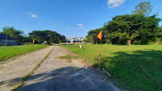 พื้นที่ดิน –  area 130 ตร.วา 1500000 B. ใกล้ โรงพยาบาลสันทราย,มหาวิทยาลัยแม่โจ้ ทำเลดีเยี่ยมๆ เชียงใหม่