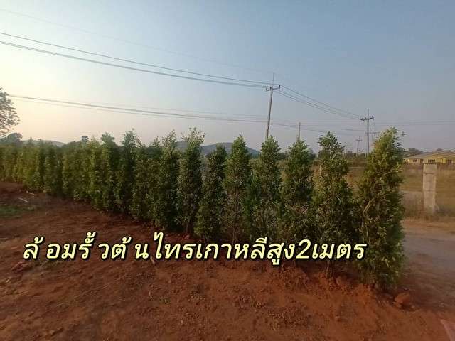 ขายที่ดินทำเลดี เจ้าของขายเอง เหมาะสำหรับพักผ่อนและอยู่อาศัย จังหวัดสุพรรณบุรี