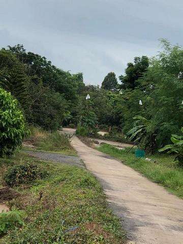 ขายที่ดิน 3 ไร่ อำเภอเมืองระยอง จังหวัดระยอง ใกล้ถนนหมายเลข 3 สุขุมวิท