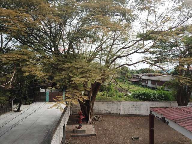 ขายที่ดินพร้อมบ้านเนื้อที่ 152 ตรว ซอยรามคำแหง 118 ใกล้โรงเรียนนานาชาติ Ascot นานาชาติ Wellington รถไฟฟ้าปากซอย ที่แปลงสวยอยู่สุดซอยสงบ
