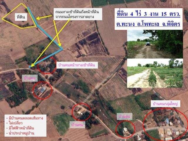 ขายที่ดินอยู่ในแหล่งชุมชน เจ้าของขายเอง ใกล้โรงเรียนหนองตะแบก จังหวัดพิจิตร