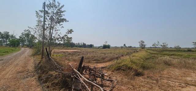ขายที่ดินนาเกือบ 5ไร่ 8ล้านบาท ใกล้ถนนบายพาสโรบินสัน-ขี้เหล็กใหญ่ ต.ในเมือง อ.เมือง ชัยภูมิ