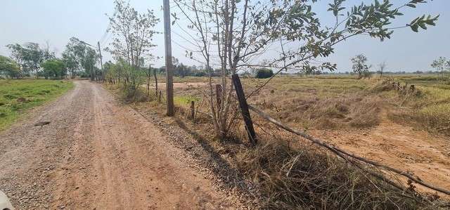 ขายที่ดินนาเกือบ 5ไร่ 8ล้านบาท ใกล้ถนนบายพาสโรบินสัน-ขี้เหล็กใหญ่ ต.ในเมือง อ.เมือง ชัยภูมิ