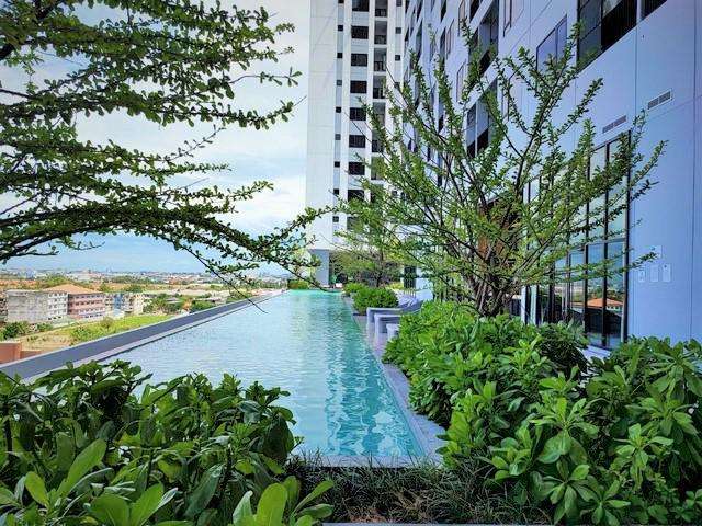 ขายขาดทุน THE LIVIN เพชรเกษม 200 เมตรจาก MRT ภาษีเจริญ ห้องตำแหน่งสวยติดส่วนกลาง 1 นอน 28 ตร.ม
