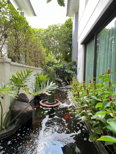 ขายหรือให้เช่าบ้านเดียว โครงการหรู The City Ramintra-Wongwaen เดอะ ซิตี้ รามอินทรา-วงแหวน ทางด่วนรามอินทรา-อาจณรงค์ ด่านจตุโชติ ถนนสุขาภิบาล 5 ถนนรามอินทรา ถนนเกษตร-นวมินทร์ ถนนลาดพร้าว