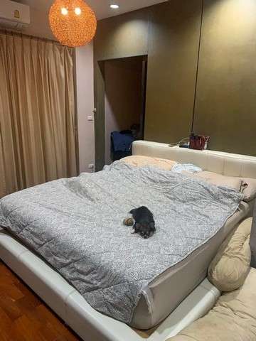 ต้องการขาย บ้าน บลูลากูน วงแหวน-บางนา 0 ไร่ 0 NGAN 80 ตารางวา 3 BEDROOM 9500000 B. ไม่ไกลจาก อีเกียบางนา รร.ราชวินิตบางแก้ว one price