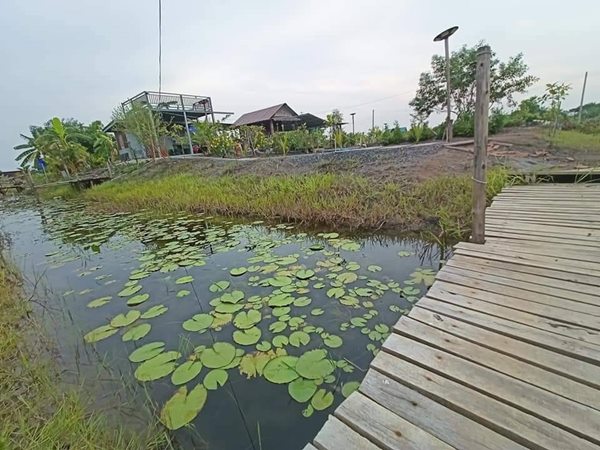วังกระโจม ที่ดินแนวบ้านสวนเพื่อสายแคมเปอร์ ไว้นอนดูดาว สดผ่อนได้. T.062-1574449