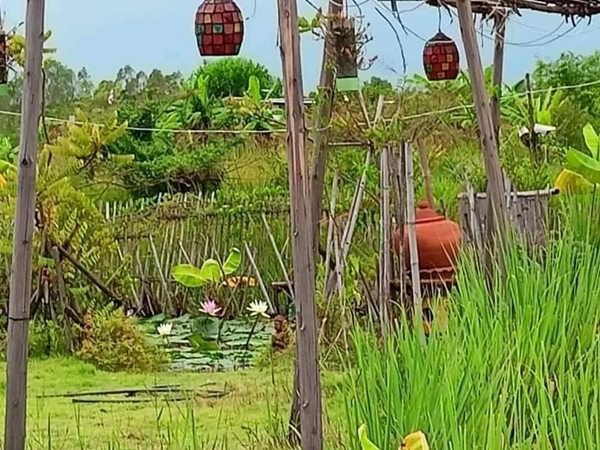 วังกระโจม ที่ดินแนวบ้านสวนเพื่อสายแคมเปอร์ ไว้นอนดูดาว สดผ่อนได้. T.062-1574449