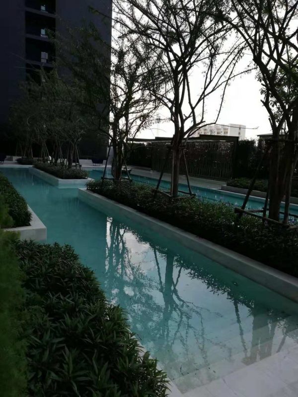 For Rent ideo Sukhumvit93*ติดBTSบางจากพร้อมอยู่ห้องมือ1***