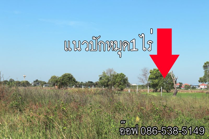 ขายที่ดิน 1ไร่ ( คลอง5 คลองหลวง ) ใกล้วัดศิริจันทราราม