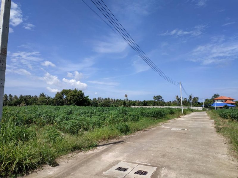 Land for sale [for home building, or sufficiency economy garden]