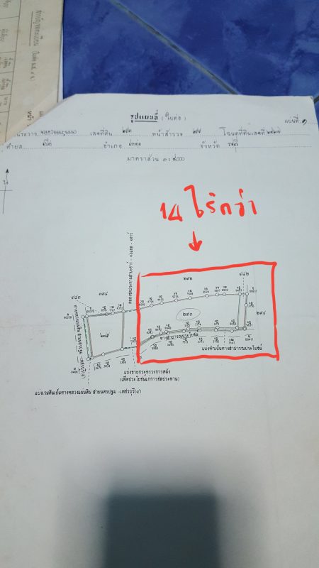 ขายที่ดินราชบุรี ที่ดินสวยๆ 14ไร่ 93ตารางวา ปากท่อ ราชบุรี