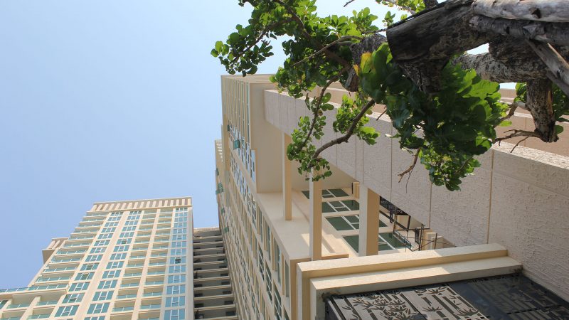 คอนโดสำหรับเช่า 1 ห้องนอน City Garden Tower Condominium (ซิตี้ การ์เด้น ทาวเวอร์ คอนโดมิเนียม)