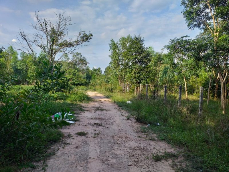 ที่ดินขัวไม้แก่นหลังเมืองวัสดุวารินฯ อุบลราชธานี