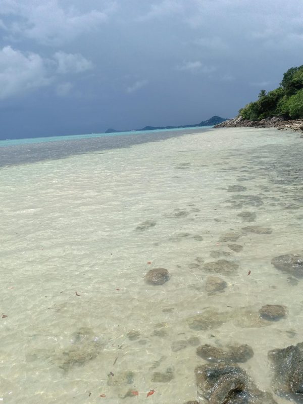 ที่ดินเกาะสมุยขาย24ไร่ซีวิวและติดทะเลชายหาด ติดโรงแรมคอนราด