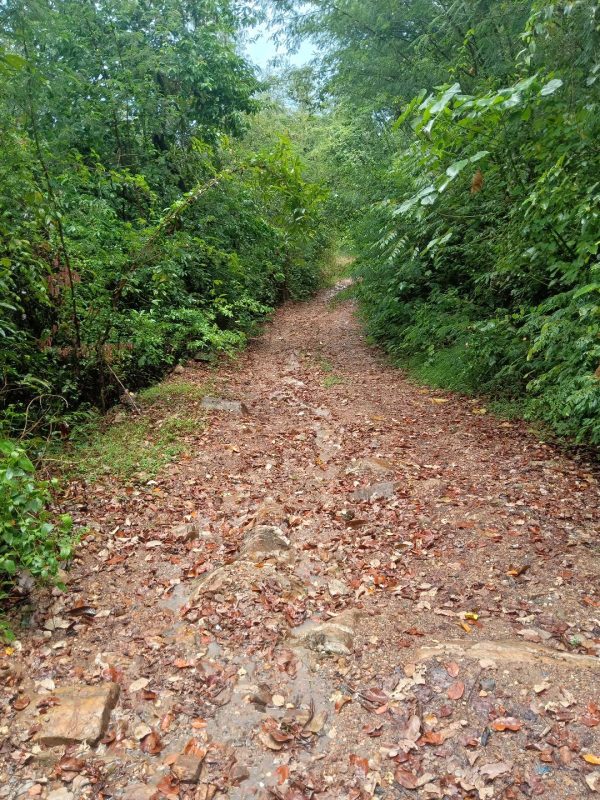 ที่ดินเกาะสมุยขาย24ไร่ซีวิวและติดทะเลชายหาด ติดโรงแรมคอนราด