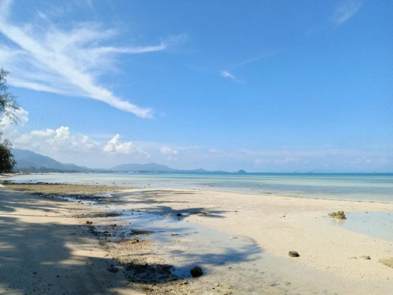 ที่ดินติดทะเลชายหาดเกาะสมุย3ไร่1งาน สวยมากเงียบสงบ