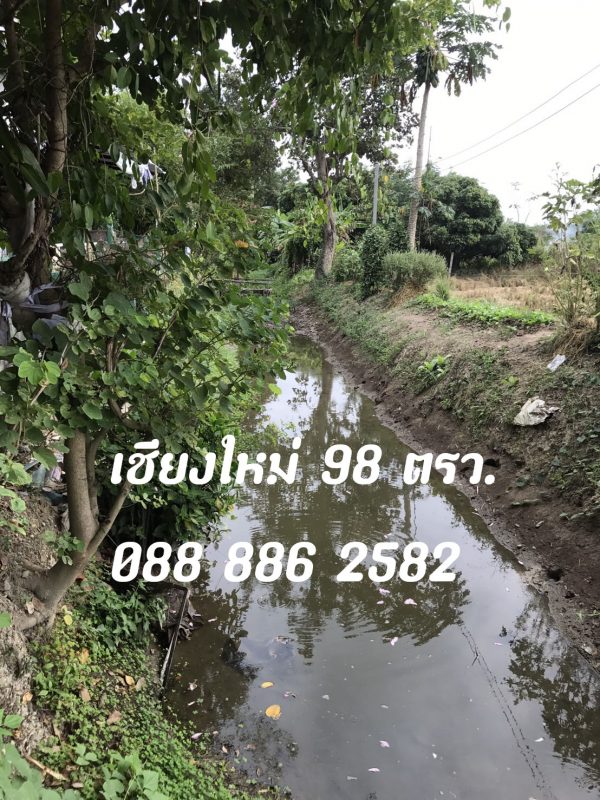 ที่ดินเชียงใหม่ 98 ตรว. ติดน้ำลำเลียงชลประทาน เหมาะกับปลูกบ้าน