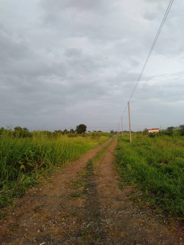 ขายที่ดินโฉนดจัดสรร 100 ตรว. อำเภอมวกเหล็ก จังหวัดสระบุรี