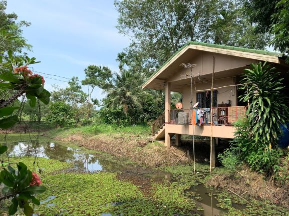 ที่ดินสวนผสมพร้อมบ้านเดี่ยว 2 หลัง 20 ไร่