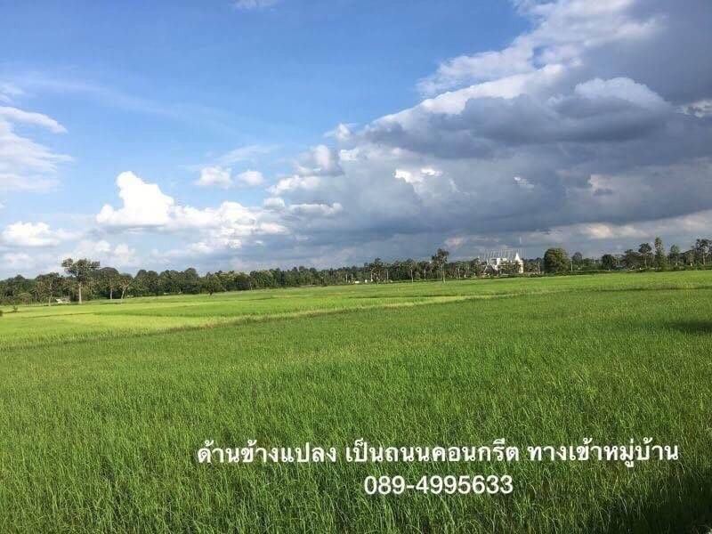 จ.ศรีสะเกษ อ.เมือง ที่ดินเปล่า ถ.วิจิตรนคร 8.2.90ไร่ 089-4995633